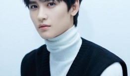 夏之光黄俊捷最新爆料,揭秘幕后故事与精彩瞬间